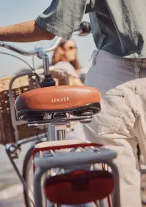 LeKKeR Jordaan 3 Speed Womens eBike -Index