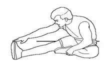 Hamstring stretched