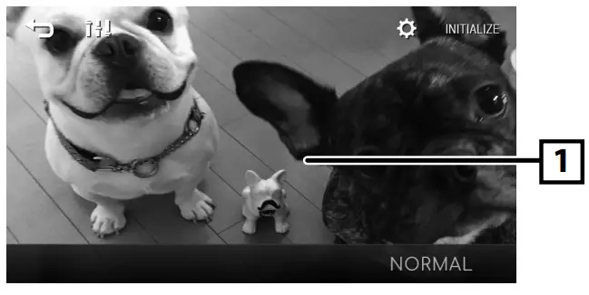 KENWOOD DMX125BT Monitor with Receiver - operation buttons