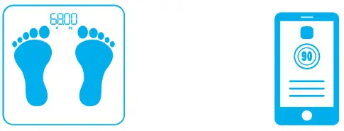 Yolanda CS20M2 Body Composition Scale - chack body