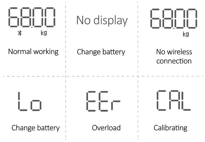 Yolanda CS20M2 Body Composition Scale - taim mantan