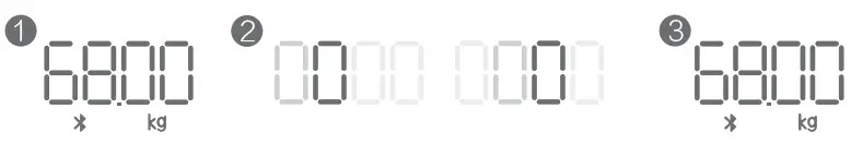 Yolanda CS20M2 Body Composition Scale - taim