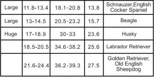 FIG 32 Reference size for differen dogs