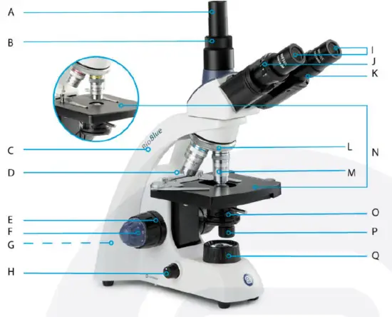 euromex-BB-1152-PL-BioBlue-BlueLine-Series-Microscope-FEATURED