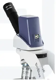 euromex-BB-1152-PL-BioBlue-BlueLine-Series-Microscope-FIG-11