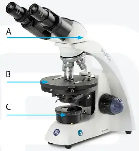 euromex-BB-1152-PL-BioBlue-BlueLine-Series-Microscope-FIG-14