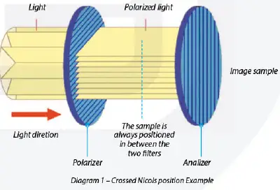 euromex-BB-1152-PL-BioBlue-BlueLine-Series-Microscope-FIG-15