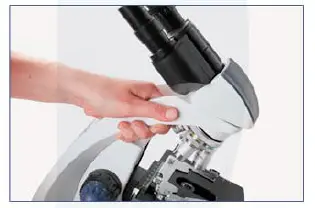 euromex-BB-1152-PL-BioBlue-BlueLine-Series-Microscope-FIG-2