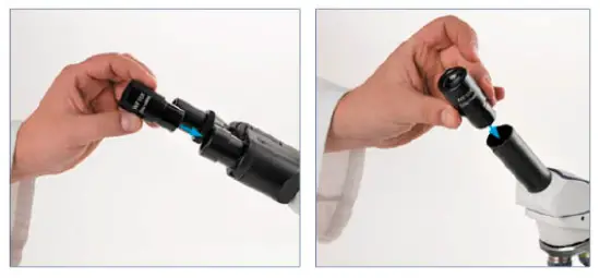 euromex-BB-1152-PL-BioBlue-BlueLine-Series-Microscope-FIG-3