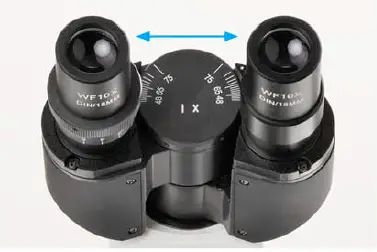 euromex-BB-1152-PL-BioBlue-BlueLine-Series-Microscope-FIG-7