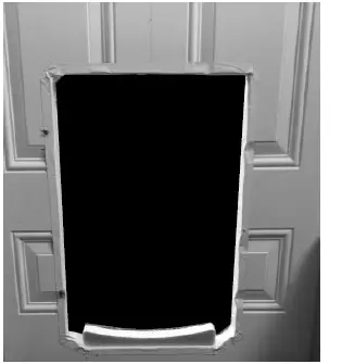 PetSafe-PPA11-10709-Electronic-SmartDoor-Connected-Pet-Door-16