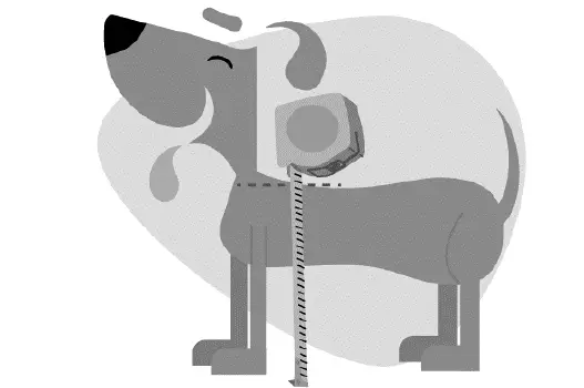 PetSafe-PPA11-10709-Electronic-SmartDoor-Connected-Pet-Door-6