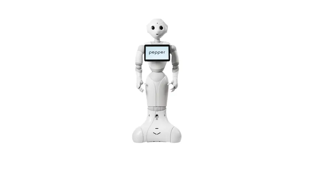 Softbank Robotics P0004930100t Soft Bank Robotics User Manual