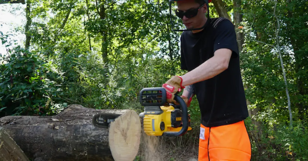 Texas Tcz 5800 Battery Powered Chainsaw User Manual