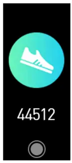 Gianvix GX362 G Smart X6 Fit - Application