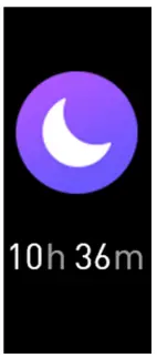 Gianvix GX362 G Smart X6 Fit - interface