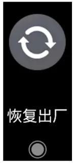 Gianvix GX362 G Smart X6 Fit - settings