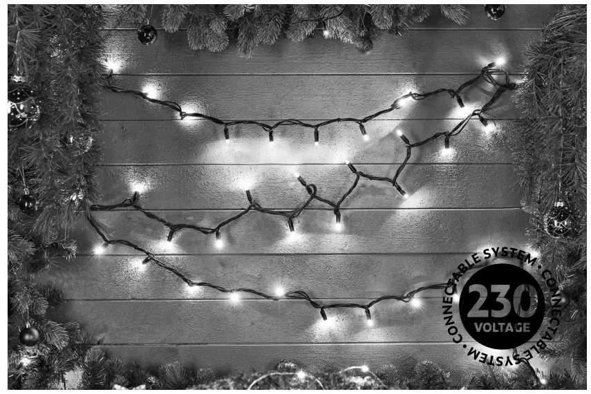 EKVIP 022432 LED String Light