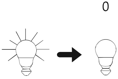Paul Neuhaus 836723 Quarter BRILLA fig 4