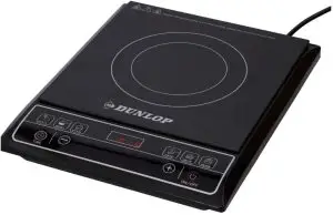 DUNLOP FYS16-2001G Cheap Induction Cooker