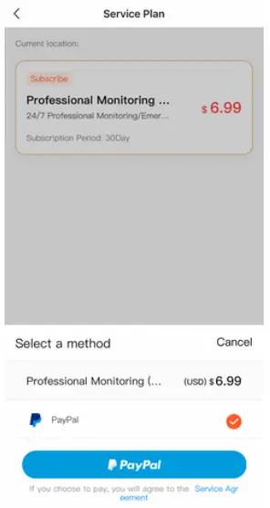 Professional Support