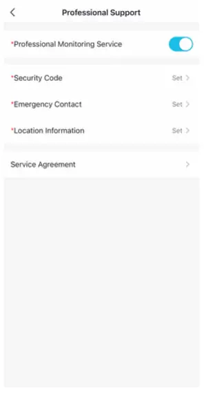 Professional Support