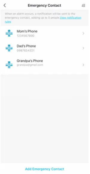 Professional Support