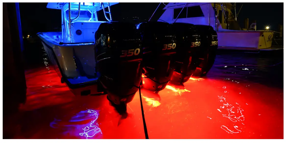 In-water Example Photography