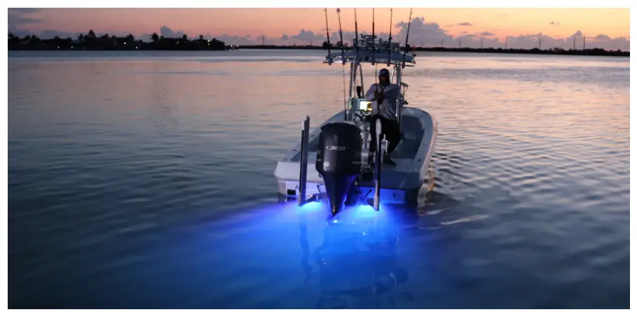 In-water Example Photography