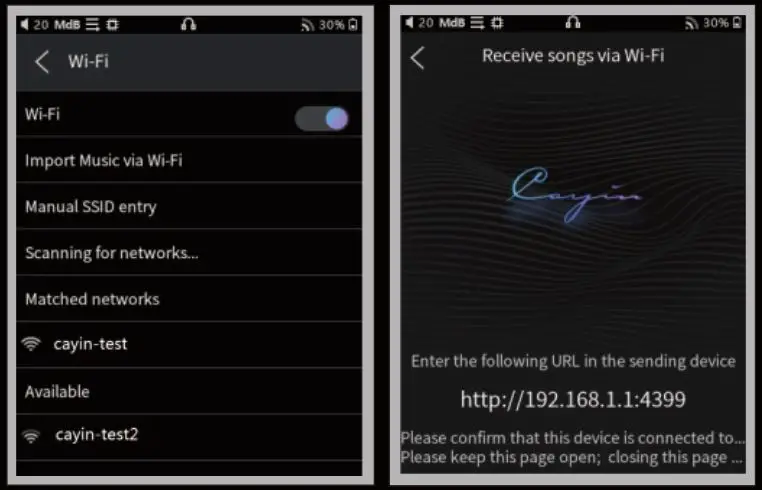 Cayin N3Pro Master Quality Digital Audio Player - Note Wi-fi is mainIy used for OTA online
