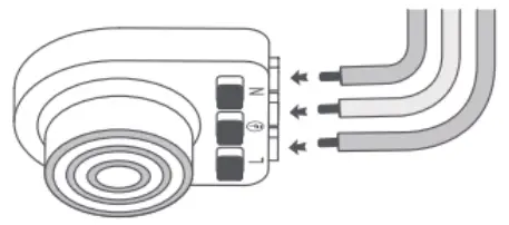 Connect the Power Cord