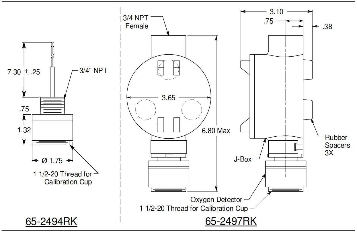 RKI INSTRUMENTS 65-2494RK Oxygen Detector--NOTE