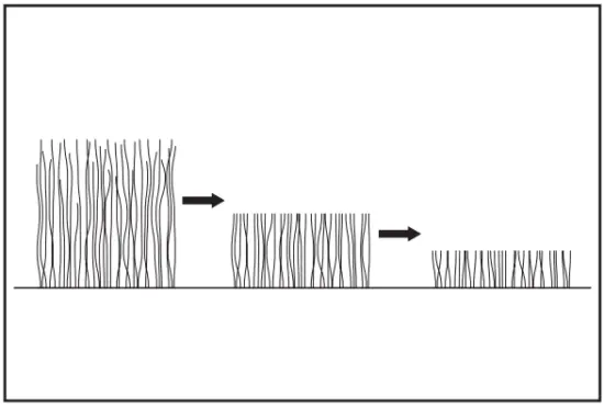makita DLM462 Cordless Lawn Mower - mow