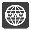 WEB Icon