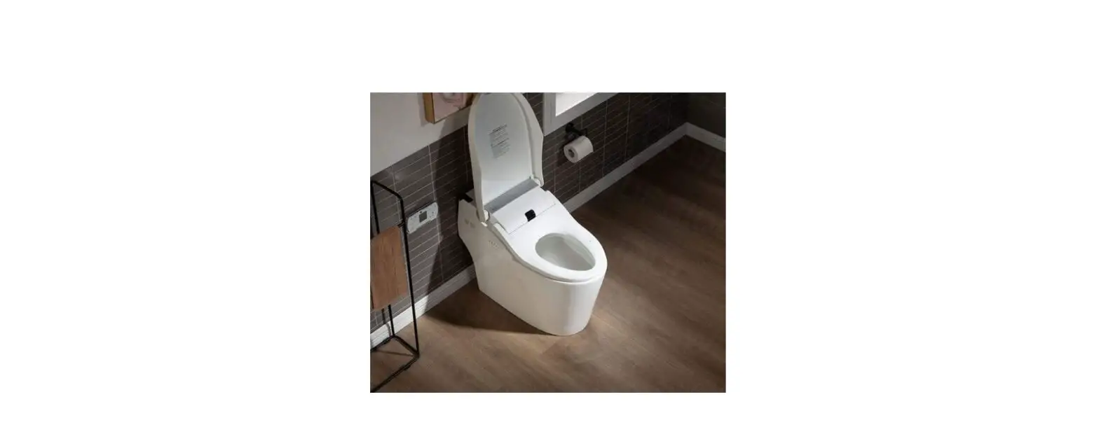 Woodbridge B0980s Electronic Bidet Toilet Installation Guide