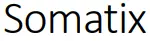somatix LOGO