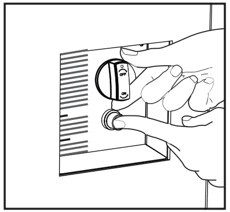 realflame Natural Gas Conversion Kit - before lighting