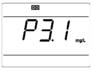 APERA INSTRUMENTS DO850 Portable Optical Dissolved Oxygen Meter - Icon 12