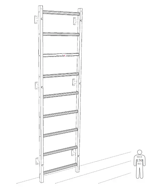 BenchK 310 Wall Bars -