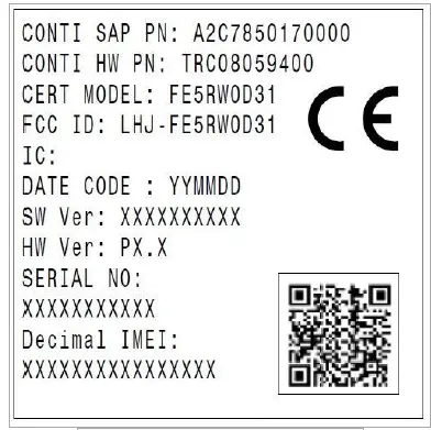 Continental-FE5RW0D31-5G-DSDA-NAD-Module-FIG 1