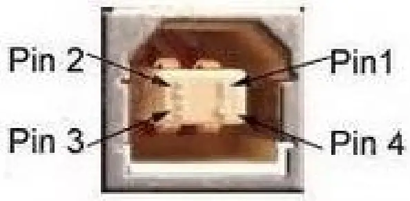 SPRT SP-TL24 TL25 Desktop Label Printer - fig 6