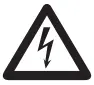 Warning Icon