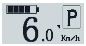 ONYX e JOE Electric Bicycle - POWER