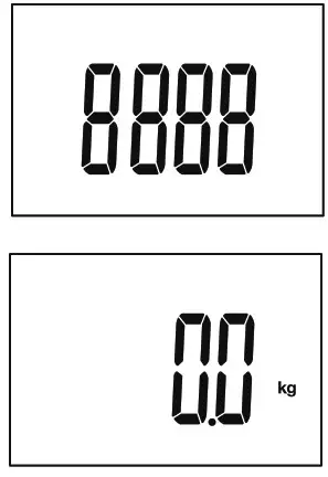 TRANSTEK GBF 1319 B6 Body Fat Analyzer - Batteries