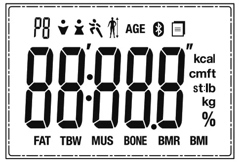 TRANSTEK GBF 1319 B6 Body Fat Analyzer - Display