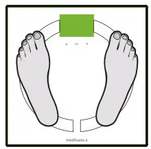 TRANSTEK GBF 1319 B6 Body Fat Analyzer - setting