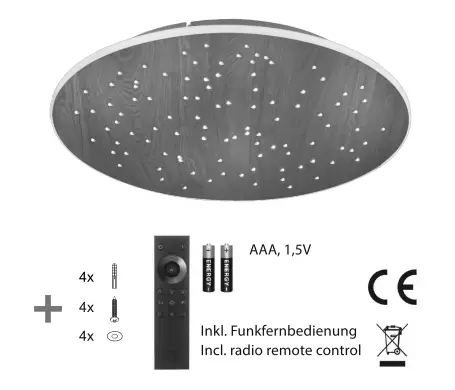 Paul-Neuhaus-833201-LED-Ceiling-Light-2