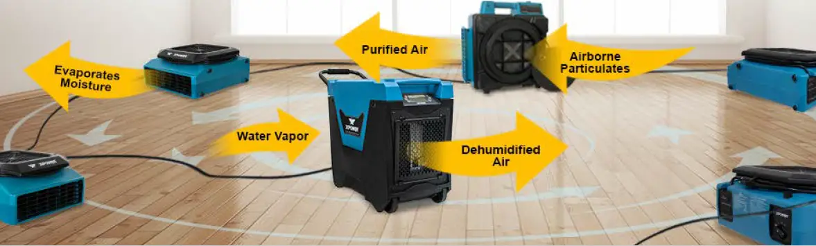 XPOWER XP12138 XtremeDry Pro-Diy Restoration Total Clean-Up Tool Kit 16