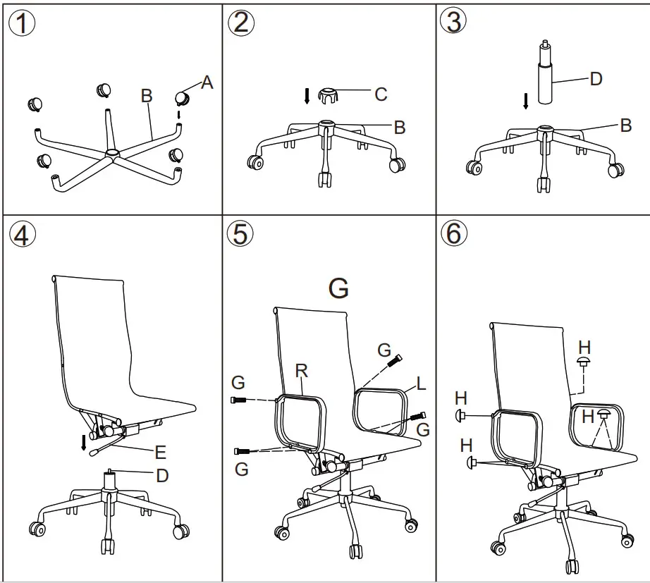ERGOLUX logo--Assembly