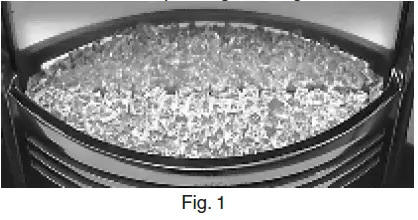 dimplex optiflame inset fire-1